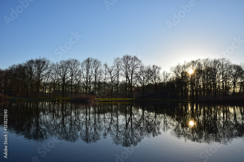 Reflection of trees and sun in the water