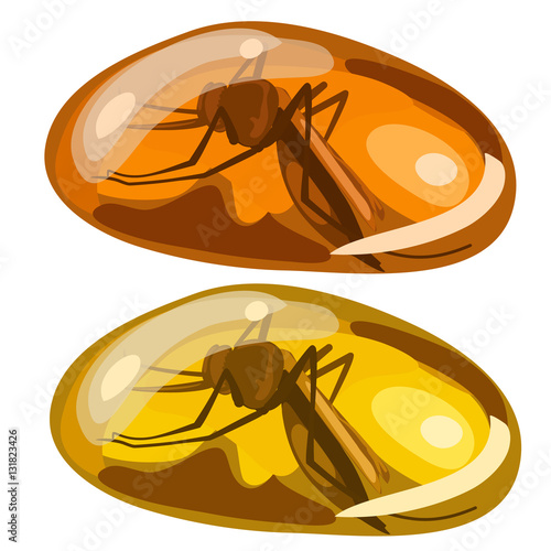 Ancient insect fly frozen in amber, rare stone