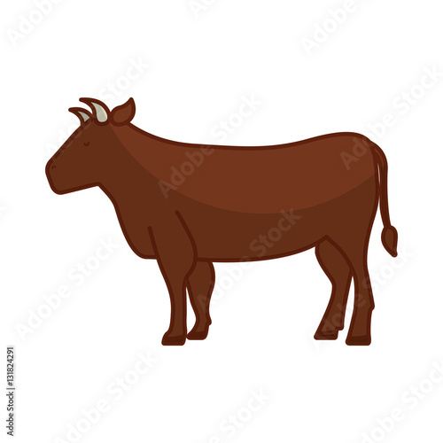 cow meat butchery icon vector illustration design
