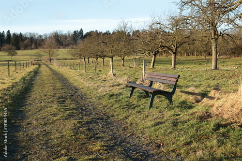 lonley bench in a field