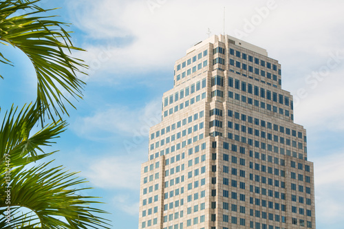 Office building and palm branches on sky background © bayurov
