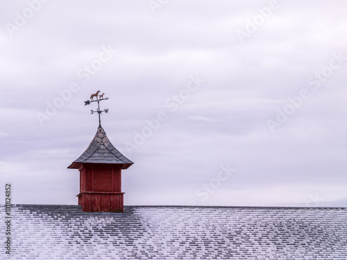 Rooftop Weather Vane  Above Snowy Shingles