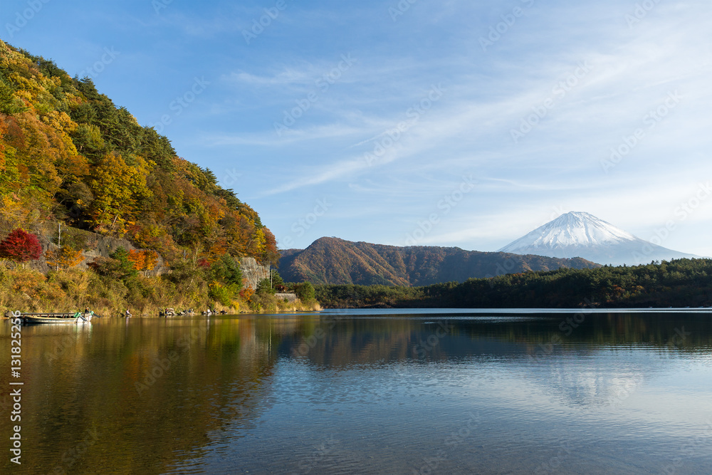 Saiko Lake and Mountain Fuji