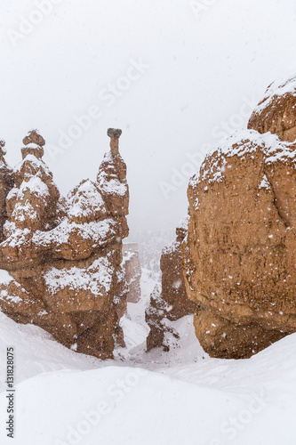 Falling Snow on Bryce Canyo...