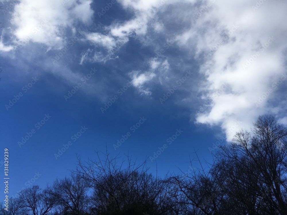 Obraz premium December blue sky after rainstorm