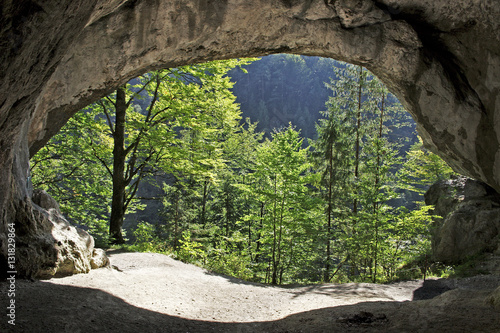 Blick aus Höhle auf sonnenbeschienene Bäume, Tischofer Höhle bei Kufstein, Tirol