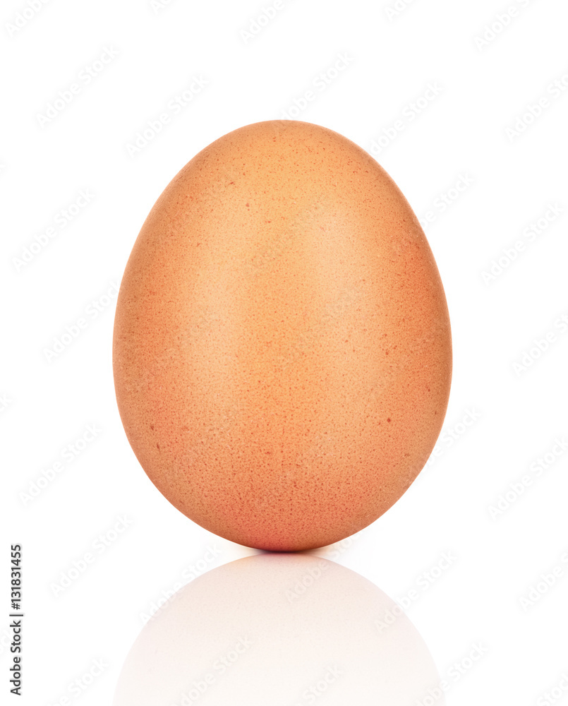 chicken egg close-up isolated on white background chicken egg close-up isolated on white background