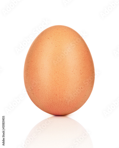  chicken egg close-up isolated on white background