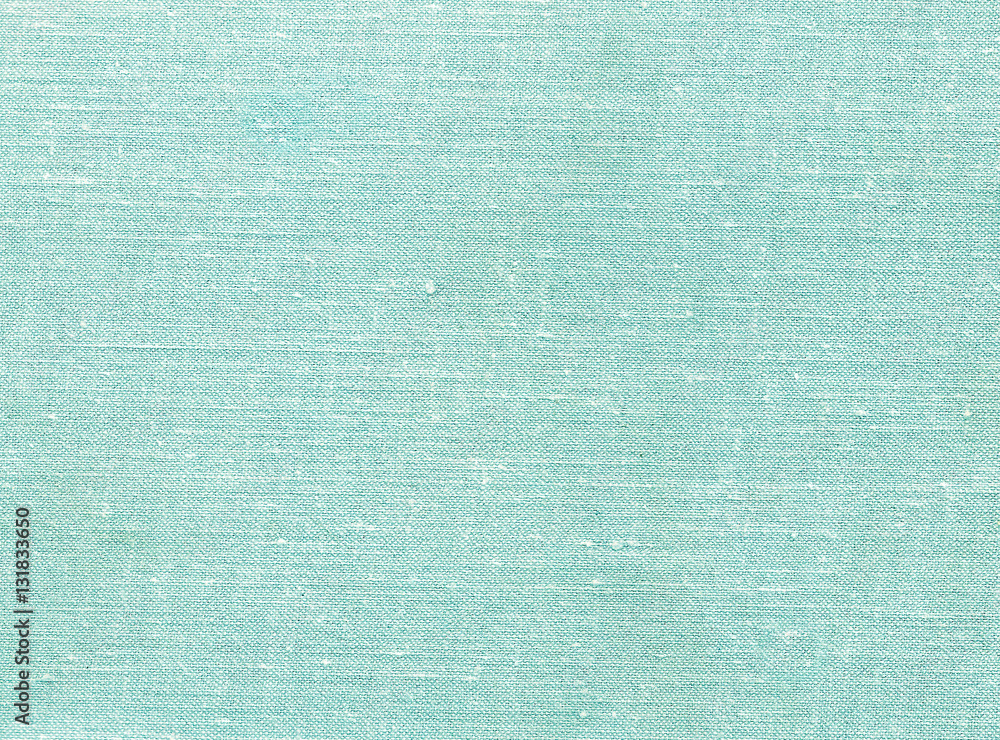 Fototapeta premium Cyan color textile pattern