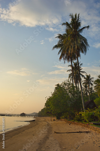 the evening beach and palm trees in Indonesia
