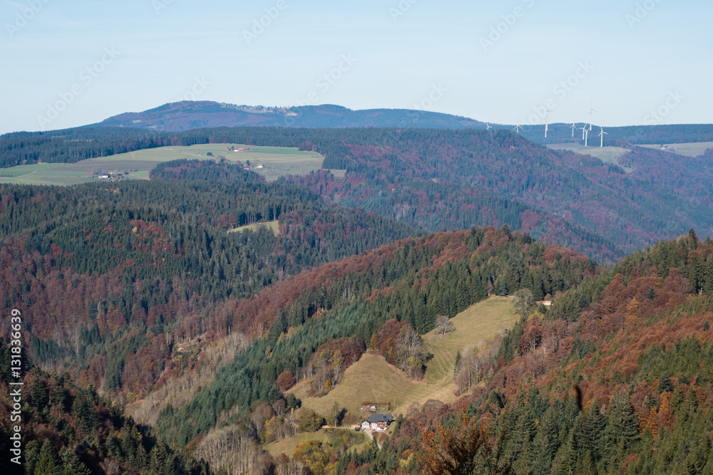 Fototapeta premium Blick über Schwarzwald