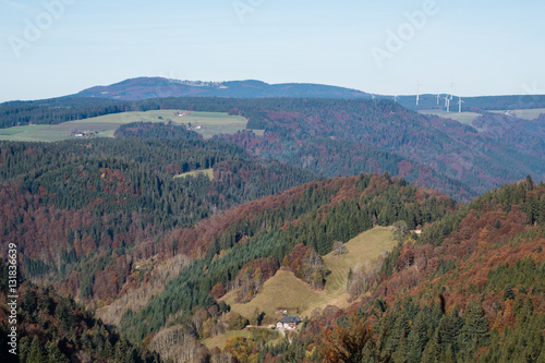 Blick über Schwarzwald