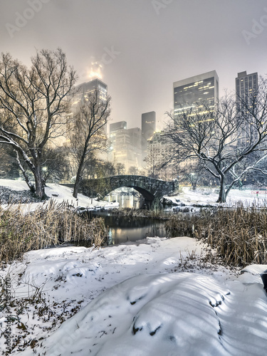 Canvas Print Gapstow bridge Central Park, New York City