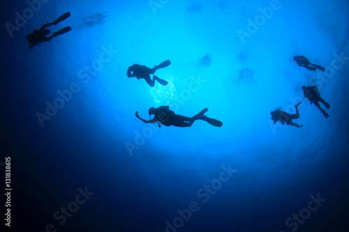 Scuba dive. Scuba divers in ocean. Scuba diving underwater