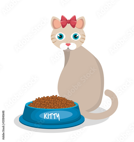 cat pet shop icon vector illustration design