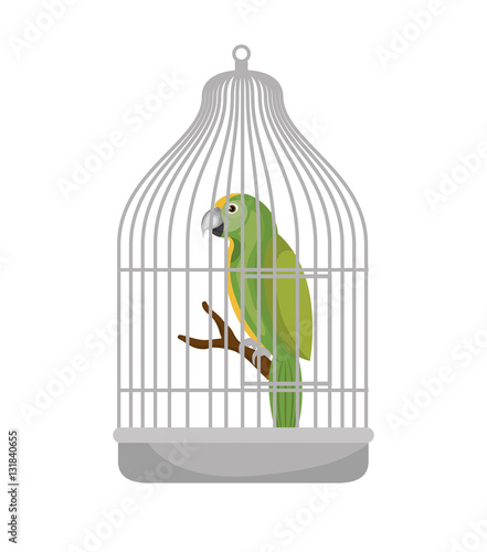 bird pet shop icon vector illustration design