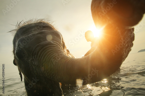 Bathing elephants in the sea