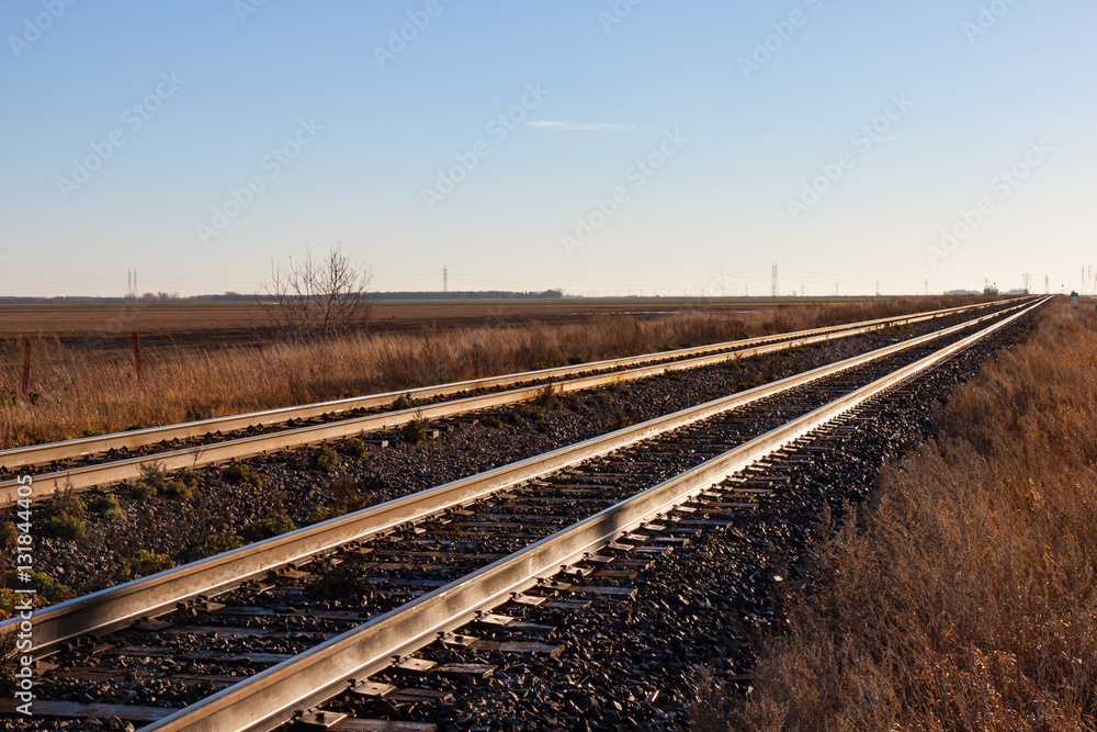 Two Pairs of Tracks Stretching Off to the Horizon