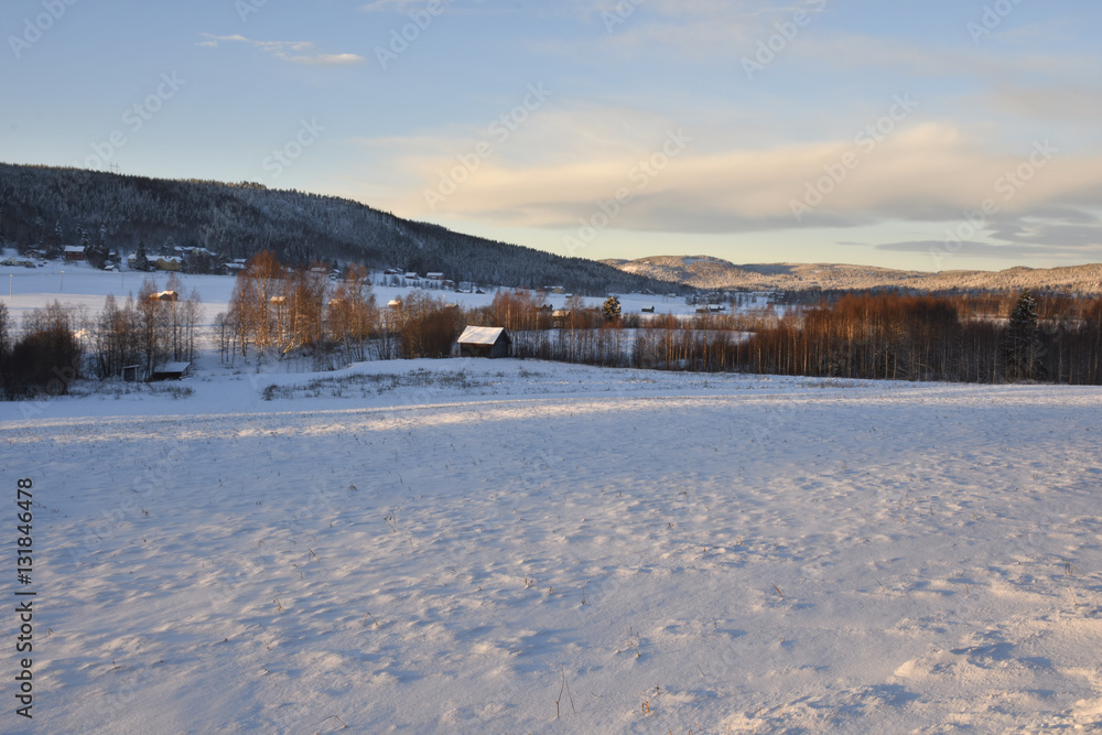 Midwinter sun shines over a snowy meadow with barns and a little village in background, picture from the North of Sweden.  