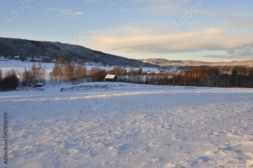 Midwinter sun shines over a snowy meadow with barns and a little village in background, picture from the North of Sweden. 