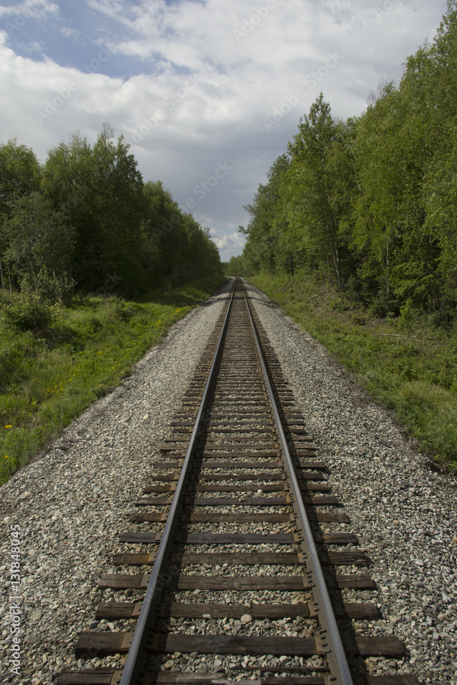 Railroad track disappearing into an Alaskan forest
