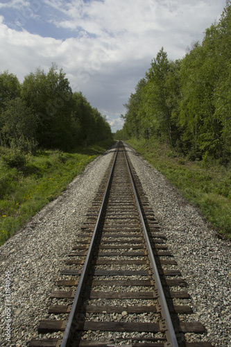 Railroad track disappearing into an Alaskan forest