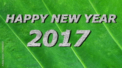 happy new year 2017