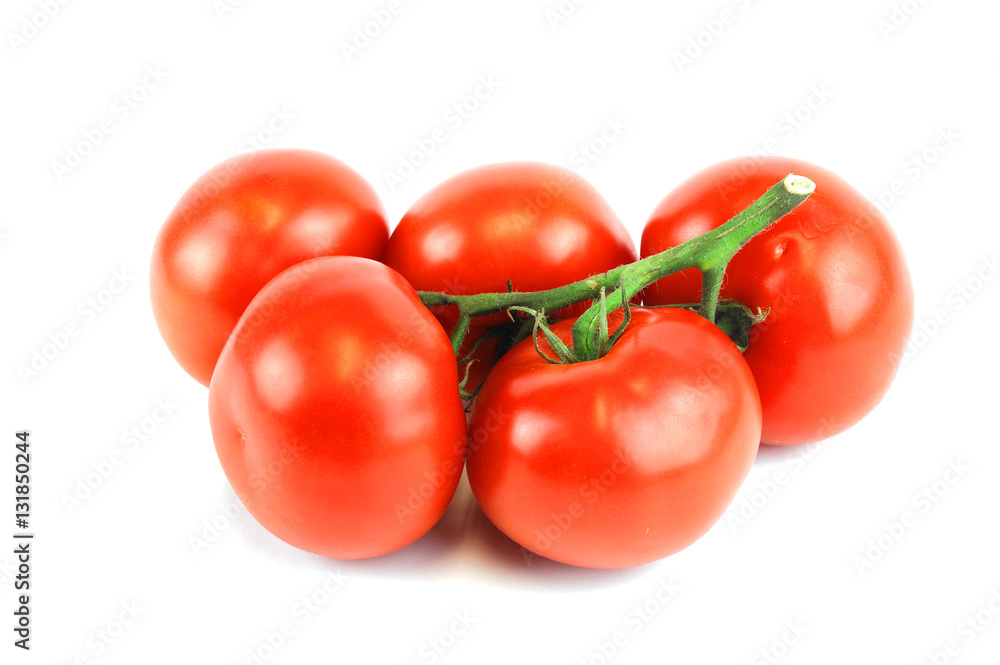 tomatoes isolated on white background tomatoes isolated on white background