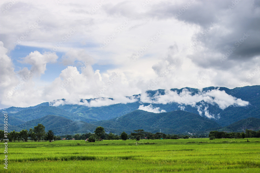 Fototapeta premium Beautiful green mountain and blue sky