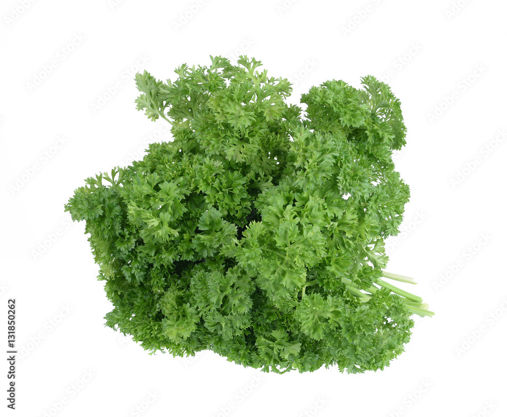 Bunch of fresh green curly parsley. Isolated on white background Bunch of fresh green curly parsley. Isolated on white background