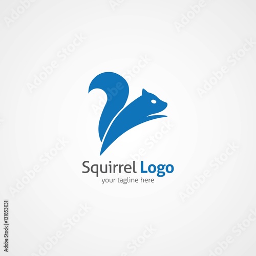 Squirrel logo design template. Vector Illustration