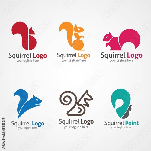 Squirrel logo design template. Vector Illustration