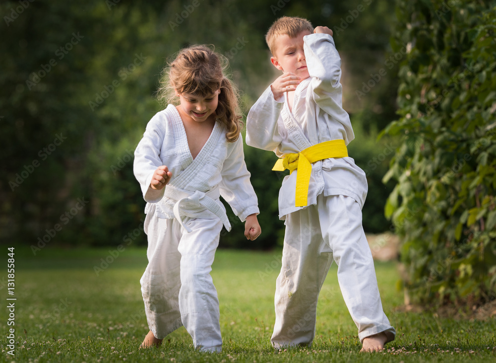 Fototapeta premium Karate martial Arts