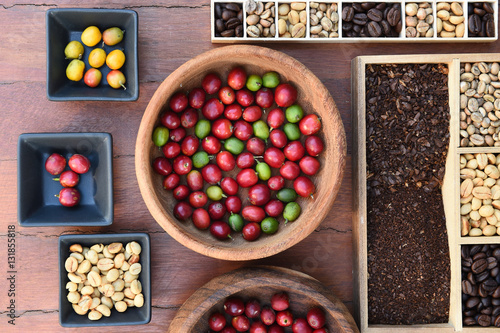 Coffee beans and fresh berries beans background photo