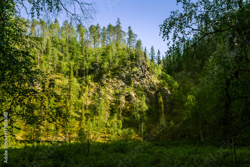 A beautiful Finnish forest landscape