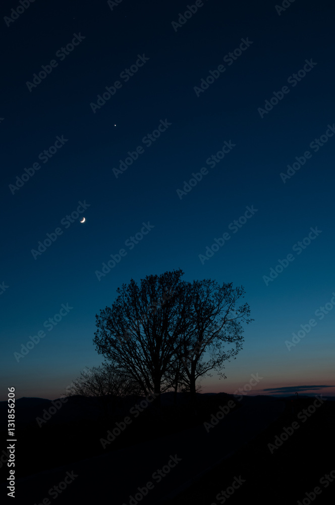 夕暮れの丘 夕暮れの丘