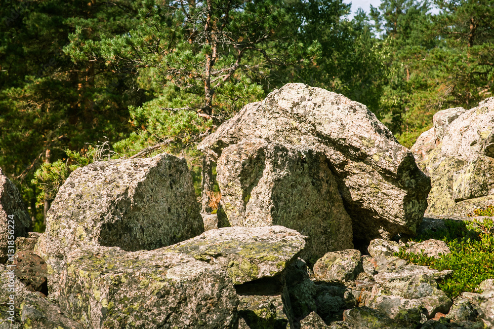 A beautiful rocky forest landscape in Finland A beautiful rocky forest landscape in Finland
