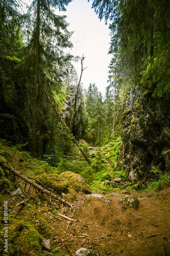 A beautiful rocky forest landscape in Finland