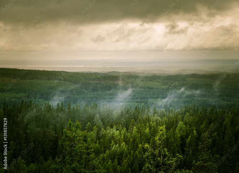 A beautiful panorama of lake and forest from Koli National park peaks