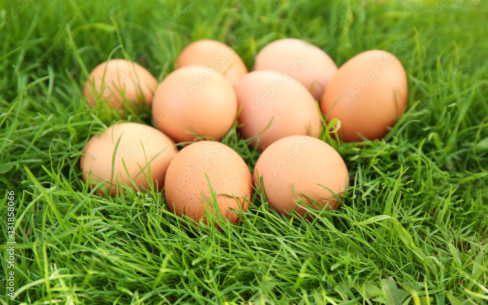 Raw eggs on green grass background Raw eggs on green grass background