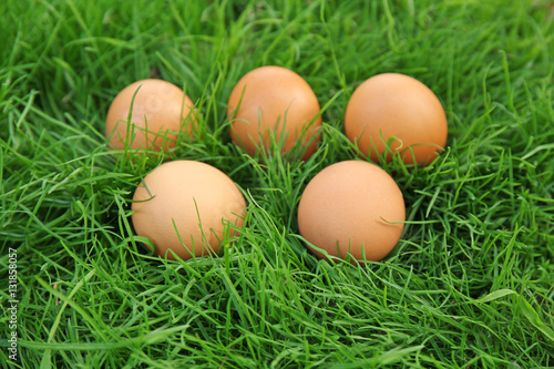 Raw eggs on green grass background