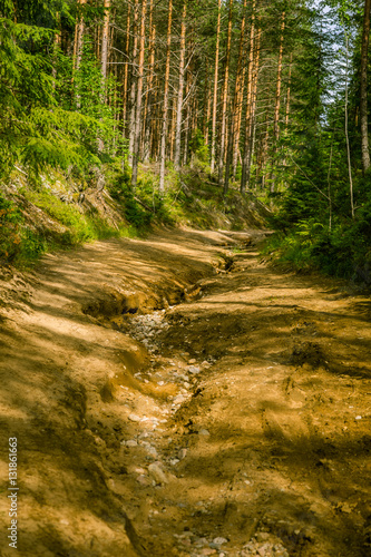 A beautiful hiking path in Finland forest © dachux21