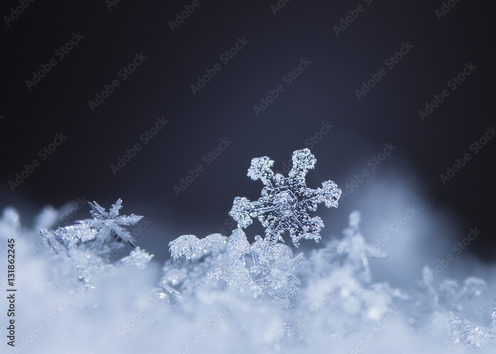natural snowflakes on snow. the picture is made at a temperature of-10 C 