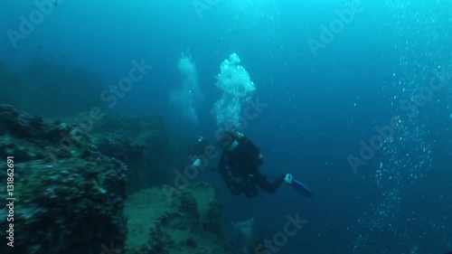 Wallpaper Mural coral life underwater video 1080 Torontodigital.ca