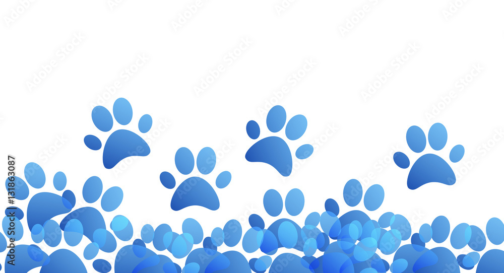 impronte, zampe, animali, orme impronte, zampe, animali, orme