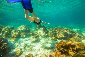 Foto auf Acrylglas Tauchen Young female snorkeling in tropical sea. Woman apnea swims in coral reef.  © bennymarty