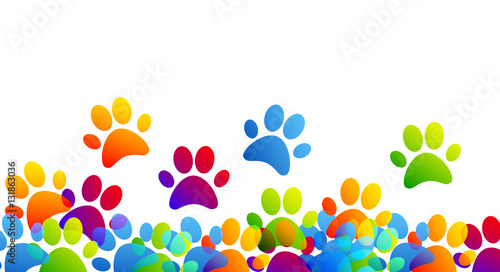 impronte, zampe, animali, orme