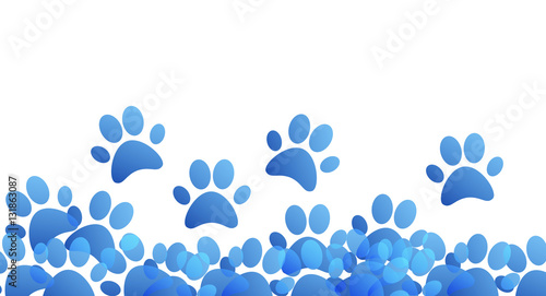 impronte, zampe, animali, orme