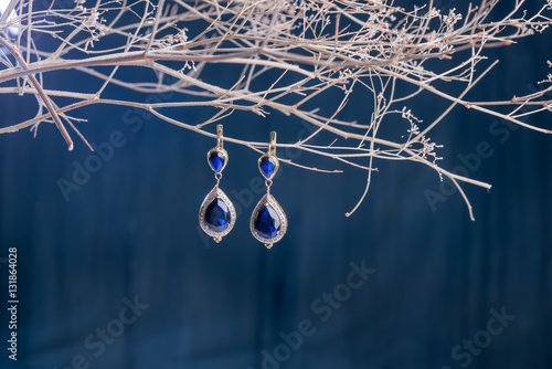Canvas-taulu Earrings of costume jewelry