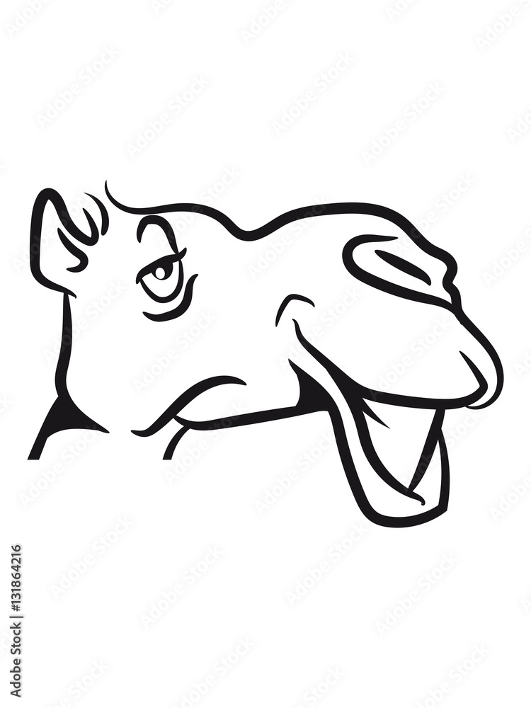 Obraz premium Camel goofy dear cool